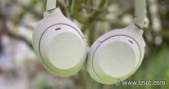 Brood X cicadas are loud. Here's how to get some peace and quiet     - CNET