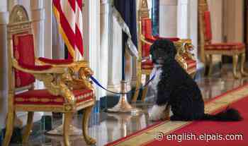 Top dogs: canine companions in the White House - EL PAÍS in English