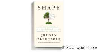 ‘Shape’ Makes Geometry Entertaining. Really, It Does.