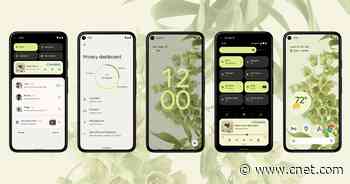 Google execs talk Android 12, privacy, skin health and climate change video     - CNET