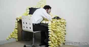 Working too much can kill you, WHO study finds     - CNET