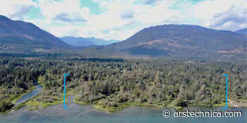 Indigenous forest gardens remain productive and diverse for over a century - Ars Technica