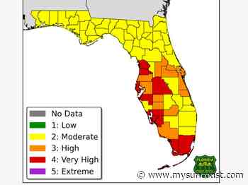 Forest Fires Indices shows high risk in Manatee County - WWSB