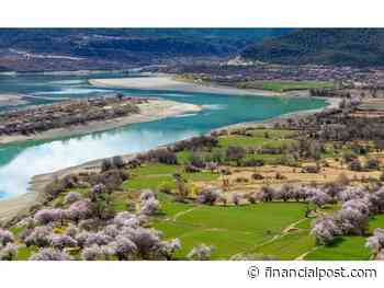 How Dahua Technology Helps Prevent Forest Fires - Financial Post