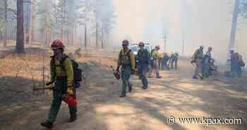 Daines preparing to re-introduce Forest Management Bill - KPAX-TV