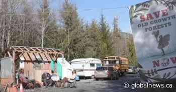 RCMP move to end blockade against logging of forest on Vancouver Island - Global News
