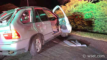 'I thought it was a dream:' Forest car crash victim recalls accident - WSET