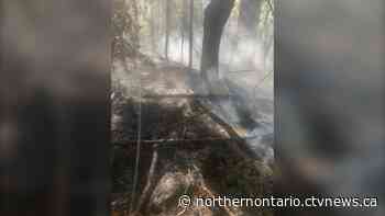 MNRF reports three new forest fires across the northeast - CTV Toronto