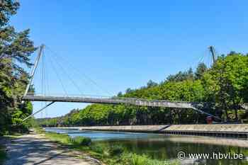 Wandelclub Milieu 2000 houdt 9de coronawandeling - Het Belang van Limburg