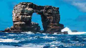 Top of famed Darwin's Arch off the Galapagos collapses
