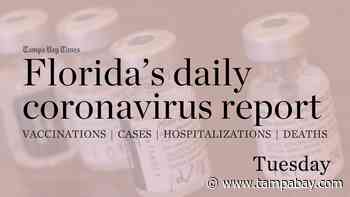 Florida adds 2,805 coronavirus cases, 97 deaths Tuesday - Tampa Bay Times