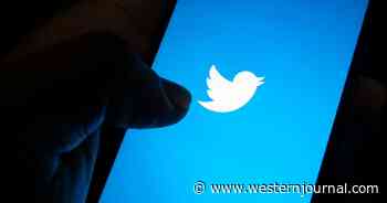 Report: Spanish Politician Suspended from Twitter for Saying Men Can't Get Pregnant