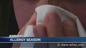 Experts warn it's a bad allergy season
