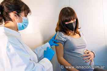 Coronavirus en la Argentina: la provincia de Buenos Aires comenzará a vacunar a embarazadas con comorbilidades - LA NACION