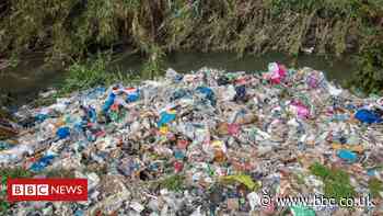 UK plastic waste being dumped and burned in Turkey, says Greenpeace