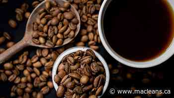 This Saskatoon man is selling two rare species of coffee. Experts say he’s on to something. - Maclean's