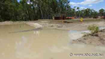 Mining company to be closely monitored following report into Carmichael Project's impact on waterway