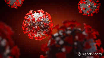 Coronavirus case counts continue falling in Tri-Cities region - KEPR 19