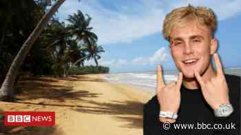 Jake Paul investigated over suspected driving on protected turtle beach