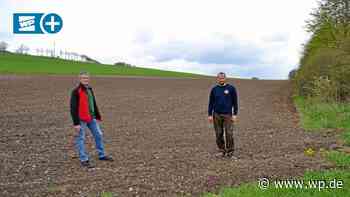 Marsberg: So helfen Landwirte Bienen mit ihrer Ackerfläche - Westfalenpost