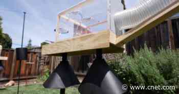 Former NASA and Apple engineer built a Ninja Warrior course for squirrels (again)     - CNET