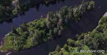 This Ontario private island costs way less than any Toronto condo | Urbanized - Daily Hive