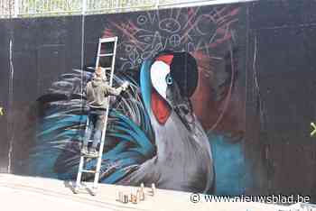 Graffitikunstwerk in Molse fietstunnel wint internationale p... (Mol) - Het Nieuwsblad