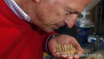 Starnberger Bier kommt jetzt aus Brauerei in Feldafing - Süddeutsche Zeitung