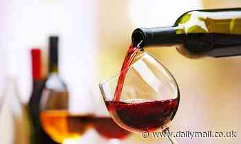 Drinking any amount of alcohol is harmful to the brain, study warns 