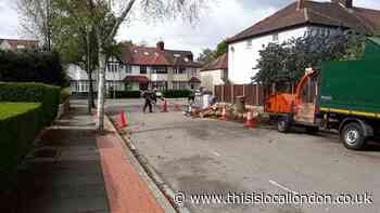 ‘Cherished’ trees chopped down by Barnet Council