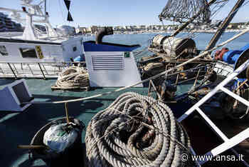 Mipaaf firma il decreto sul fermo pesca temporaneo 2021 - Terra & Gusto - Agenzia ANSA