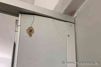 Toiletten-Anlagen in Reichenbach wieder demoliert - jetzt gibt's eine Spur - Freie Presse