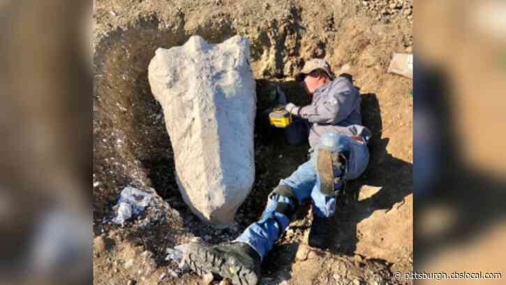 ‘Simply Wondrous’: Trove Of ‘Amazing’ Prehistoric Fossils Discovered In California’s Mokelumne River