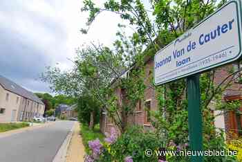 Moet Merelbeke meer straten vernoemen naar vrouwen? “Nu zijn er amper negen” - Het Nieuwsblad