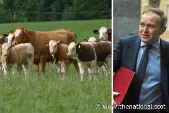 Tory Brexit betrayal threatens future of Scotland's farmers - The National