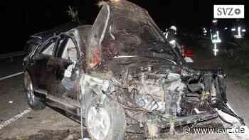 Ludwigslust-Parchim: Die Zahl der Wildunfälle bleibt hoch | svz.de - svz – Schweriner Volkszeitung