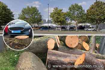 TrustFord apologise after Plough Lane tree 'disaster'