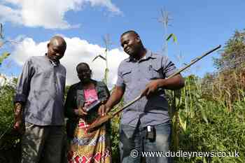 Study reveals 'postcode lottery of nutrient intake' from crops - Dudley News