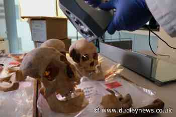 Countdown begins to discover where explorer Christopher Columbus came from - Dudley News