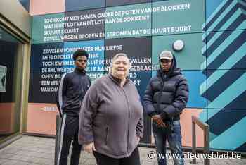 Stadsdichter stelt vanuit Mali wijkgedicht voor Luchtbal voor