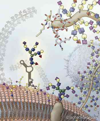 A Molecule That Shouldn’t Exist – “The Biggest Scientific Shock of My Life”