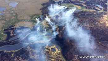 'Zombie fires' could become more common as global temperatures rise