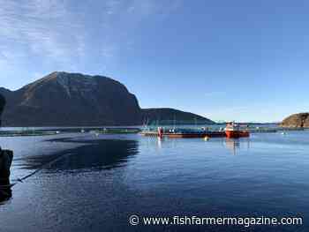 Food distributor invests in Loch Long Salmon – Fish Farmer Magazine - Fish Farmer Magazine