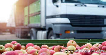 Making space for food - SHD Logistics