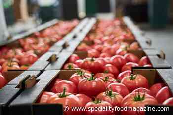 New post-Brexit food checks could be on the way | News - Speciality Food