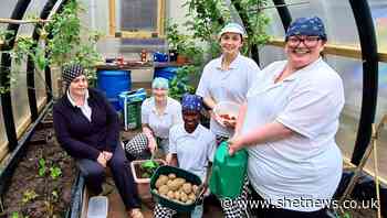 Freshly prepared school food helps council bag award - Shetland News