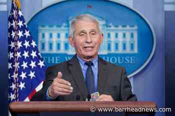 Fauci and Oprah among Webby winners - Barrhead News