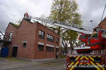 Takken gaan door dak - Het Nieuwsblad