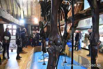 Dan toch geen centraal stadsmuseum: “We vinden geen geschikte en betaalbare locatie” - Het Nieuwsblad