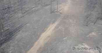 La Ronge, Sask. enters state of emergency after Cloverdale wildfire cause power outages